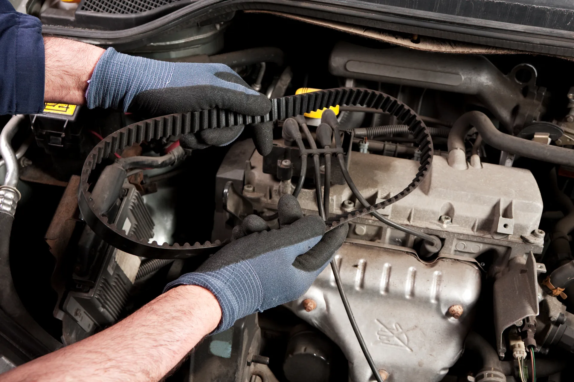 a mechanic holds the timing belt